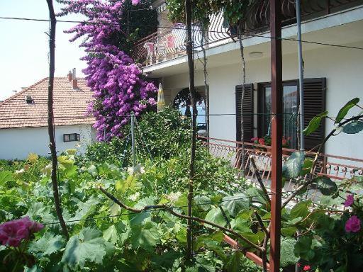 Apartment Knez Trogir Luaran gambar